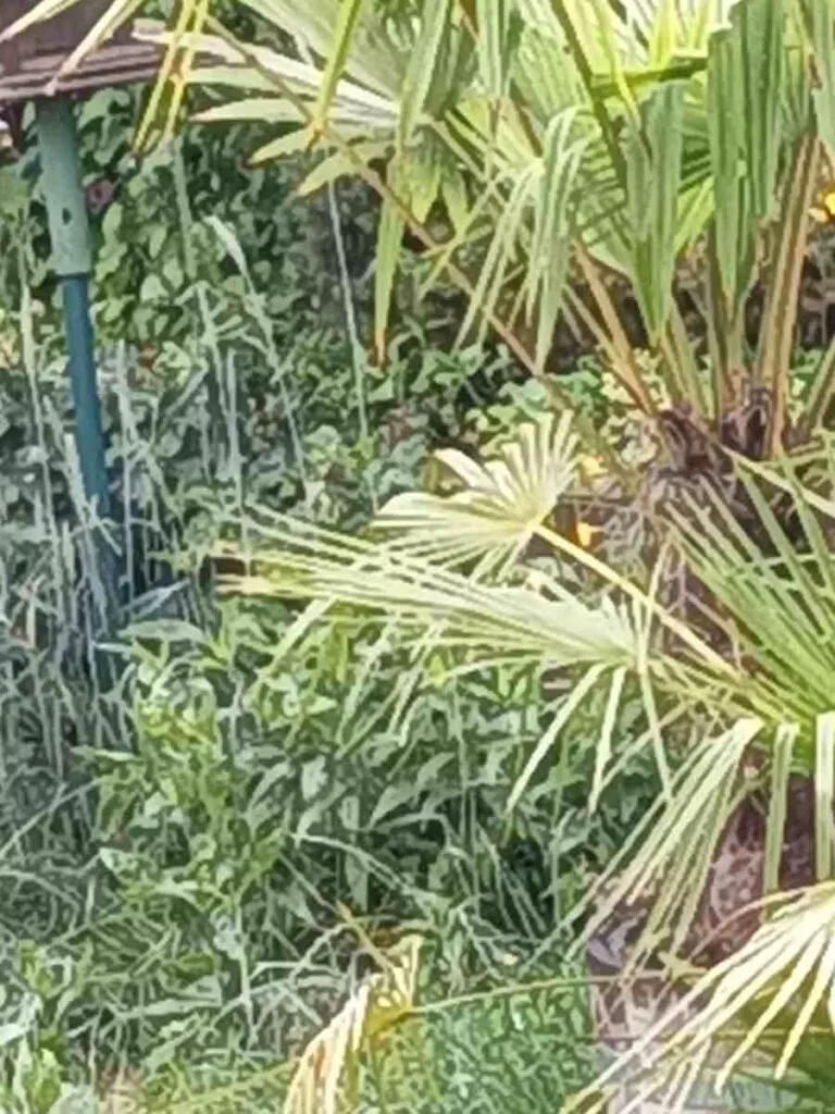 S95 Pro 10 Fach Zoom | aNdroid-User.de