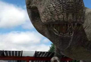 Google 3D – Zurück in die Vergangenheit mit Googles AR-Dinosauriern