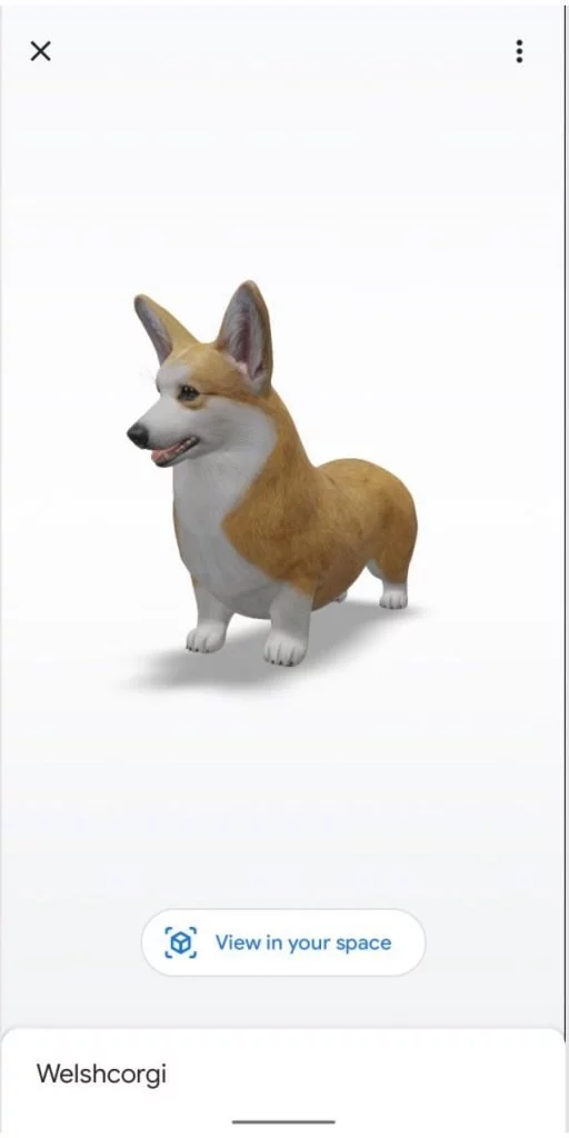 3D Corgi | Android-User.de