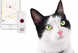 Im Test – Weenect GPS Tracker, der Tracker für Kind, Katze und Hund
