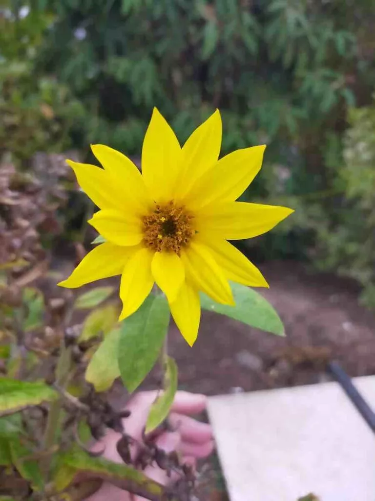 A72 37 | Android-User.de
