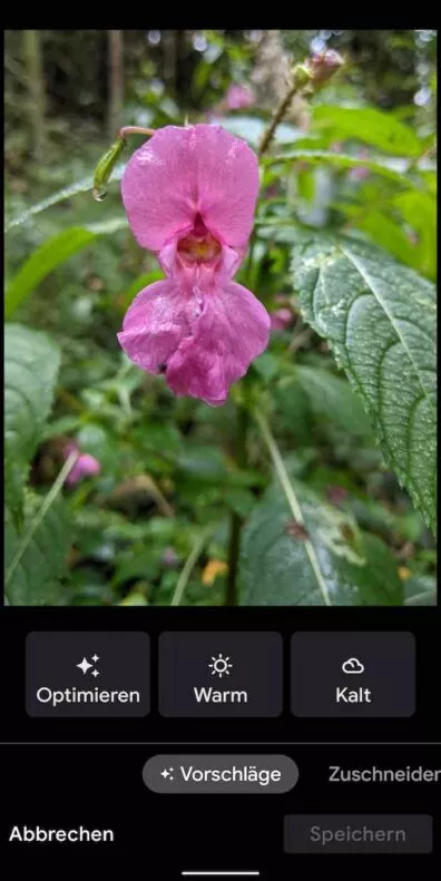 Photos 2 | ANdroid-USer.de