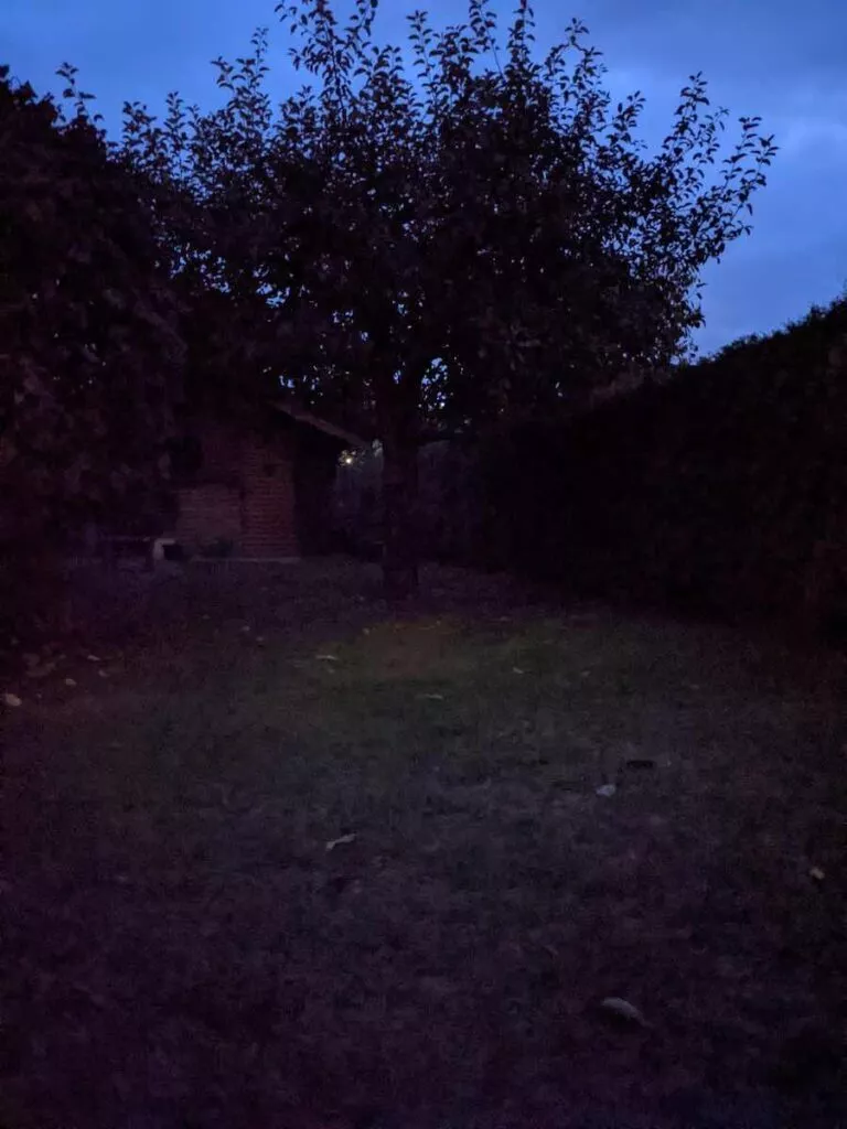 Pixel 5 20 Nacht | Android-USer.de