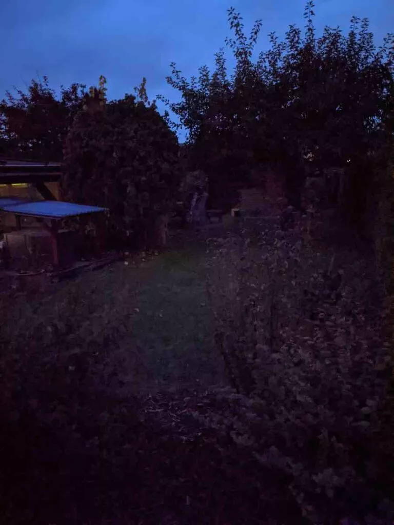 Pixel 5 23 Nacht | Android-User.de
