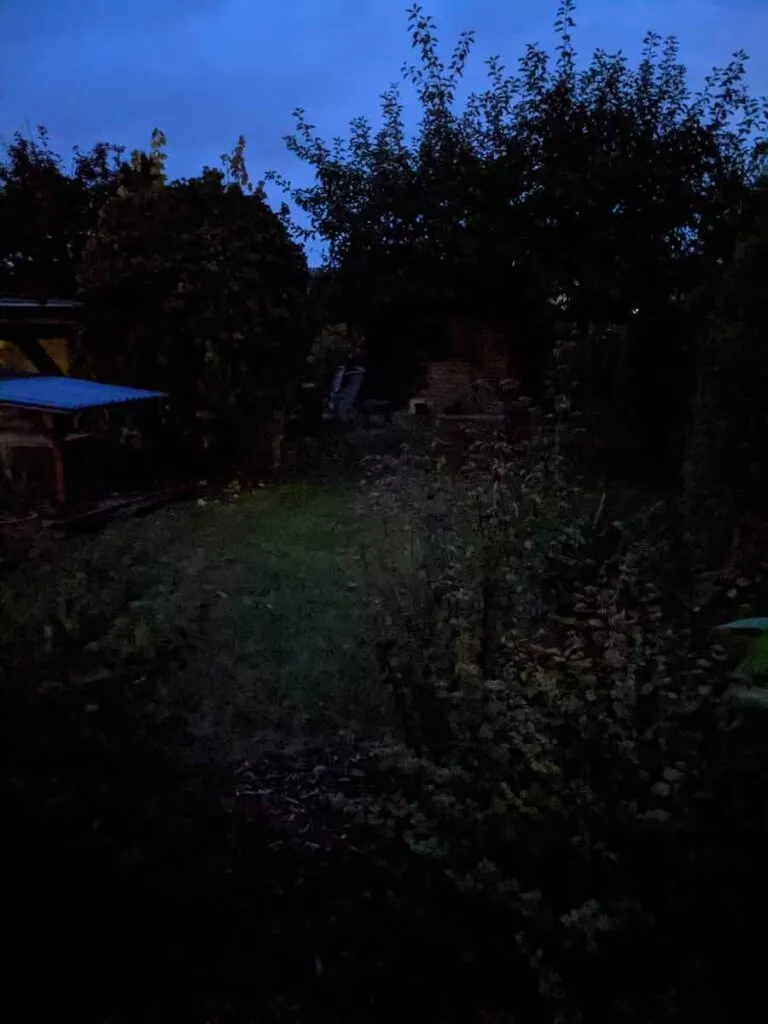 Pixel 5 24 Nacht | Android-User.de