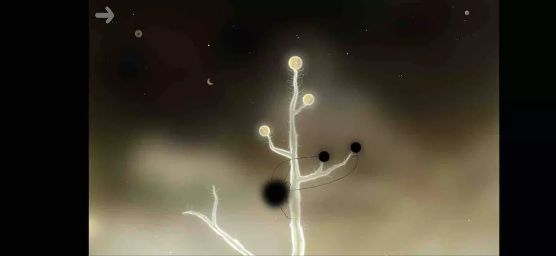 Botanicula 4 | Android-User.de