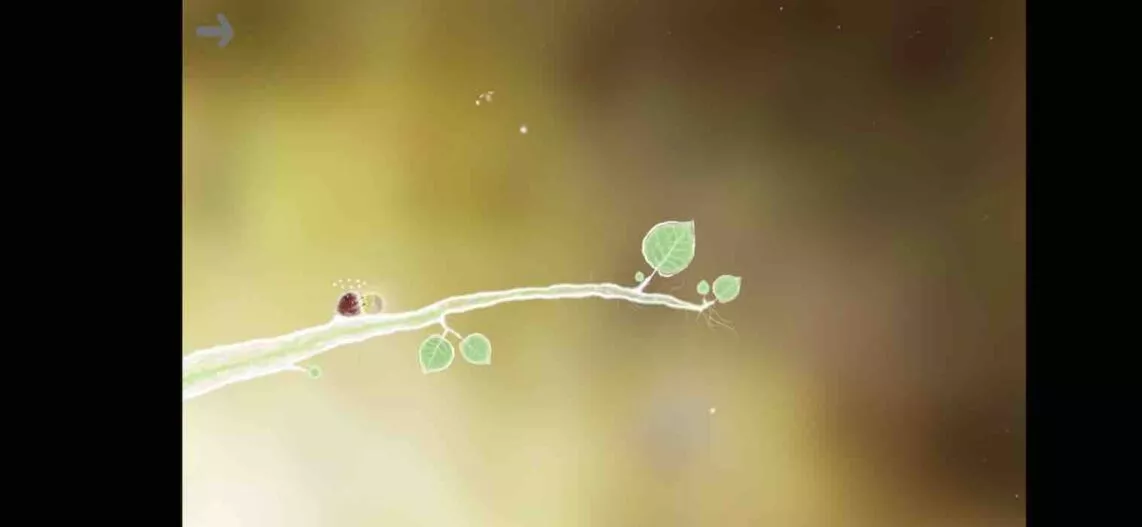 Botanicula 6 | ANdroid-User.de