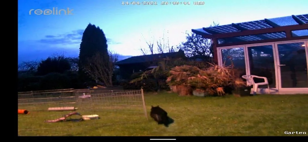 20210414 Reolink E1 Outdoor 19 | Android-User.de