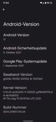 20211101 Pixel 6 Pro | Android-User.de20