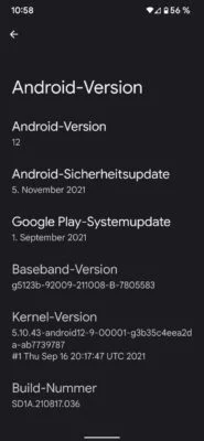 20211102 Pixel 6 Pro Android Version | Android-User.de