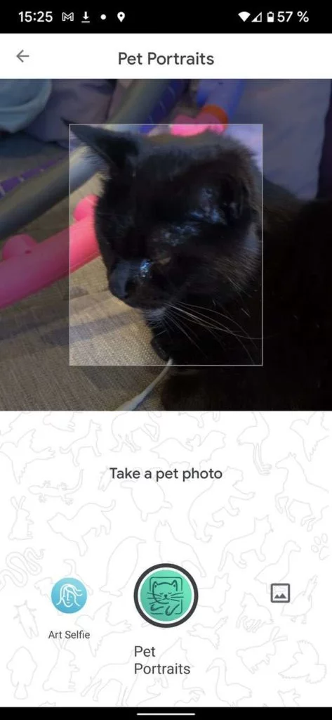 20211103 Arts und Culture Pet Portraits | android-User.de3