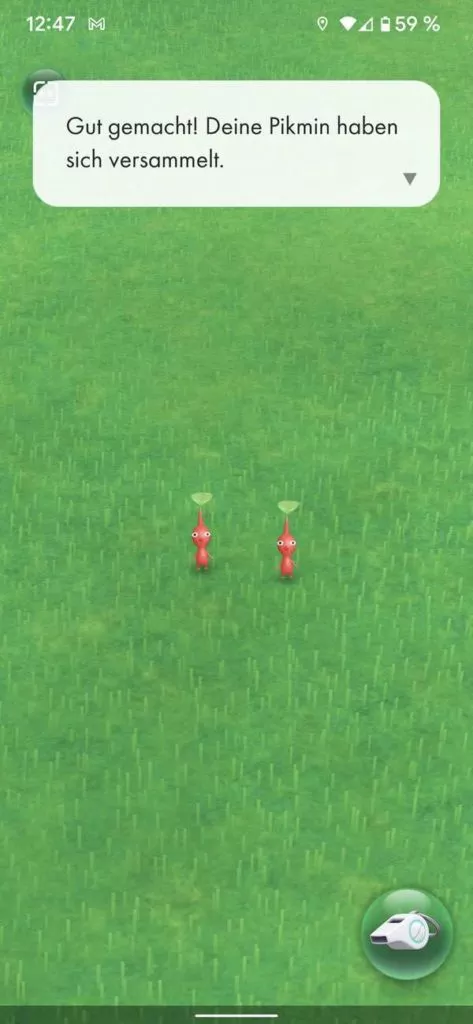 20211202 Pikmin Bloom | android-User.de21