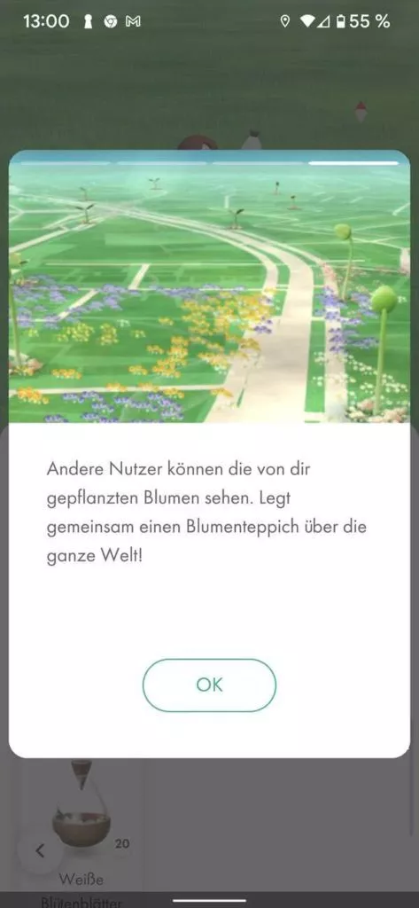 20211202 Pikmin Bloom | android-User.de34
