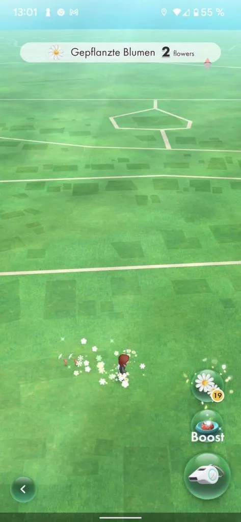20211202 Pikmin Bloom | android-User.de36