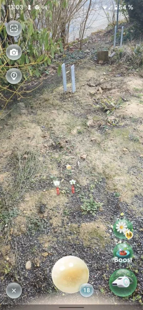 20211202 Pikmin Bloom | android-User.de43
