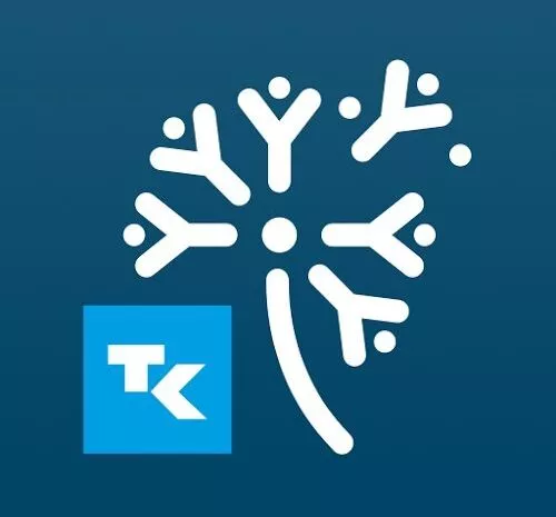 20220221 Husteblume Icon