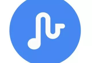 Pixel Phones – Einige Nutzer mit verstellten Tönen