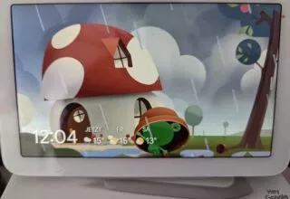 Google Nest Hub 2. Gen und Froggy der Wetterfrosch – Neue Anzeige