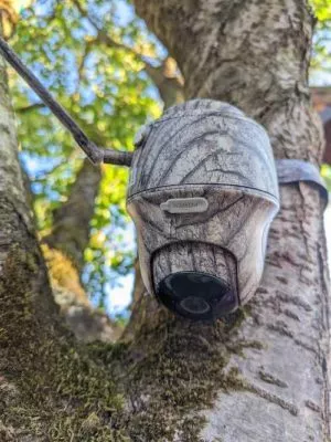 20220720 Keen Kamera am Baum