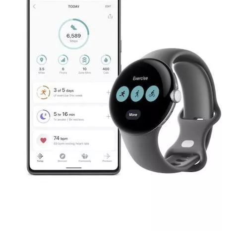 20221004 Fitbit Google Pixel Watch Icon