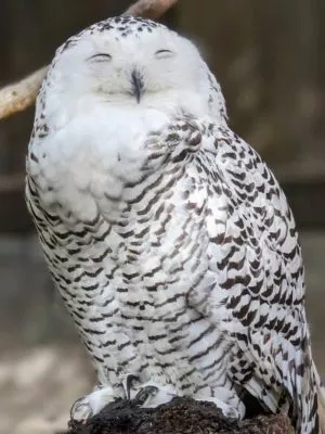 20221029 Pixel 7 Pro Bearbetiet