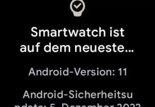Google Pixel Watch – Update Dezember 2022, manuell anstoßen