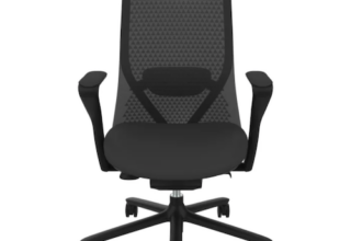 Im Test – Flexispot BS13, ergonomisches Sitzen