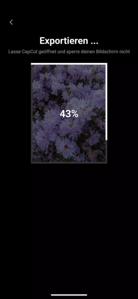 20230516 CapCut | Android-User.de0020
