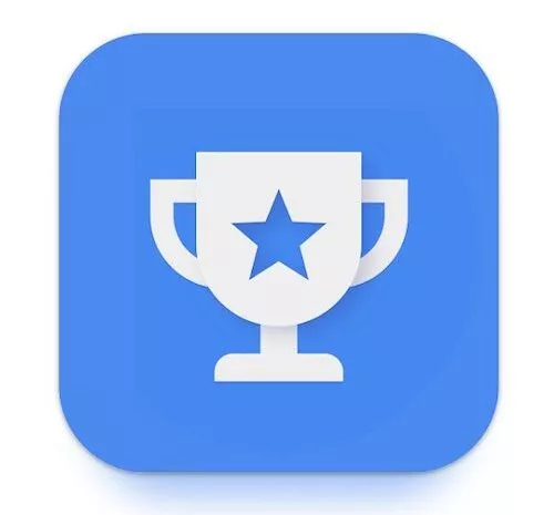 20230630 Google Umfrage Icon