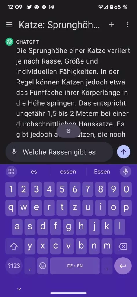 20230728 ChatGPT weiterführende Fragen