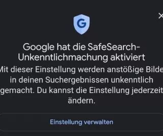 SafeSearch Icon