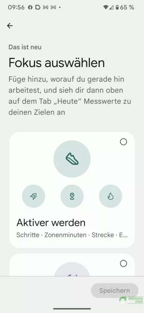 Fokus in der Fitbit App