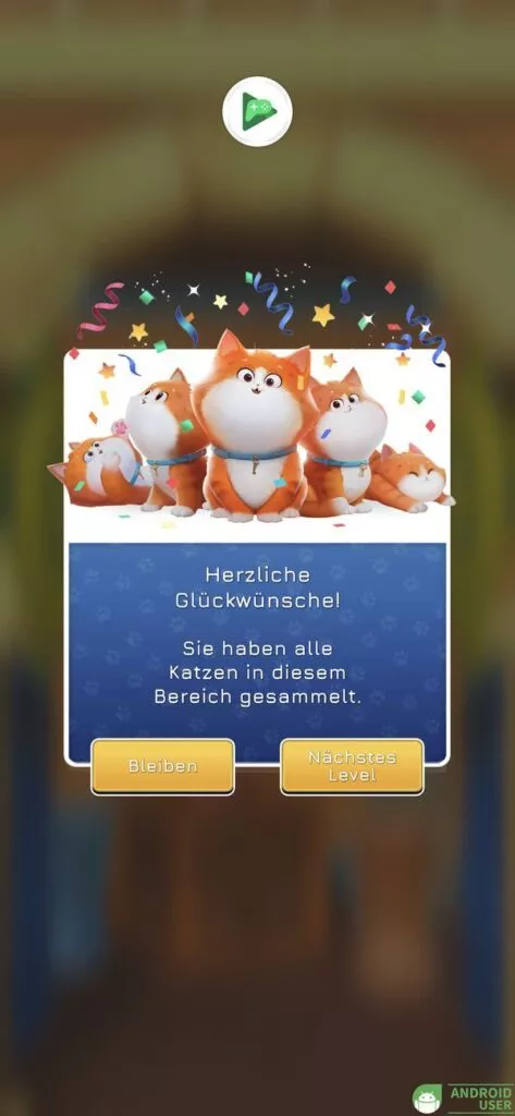 Die ersten 10 Katzen aus der Zeitmaschine sind gefunden