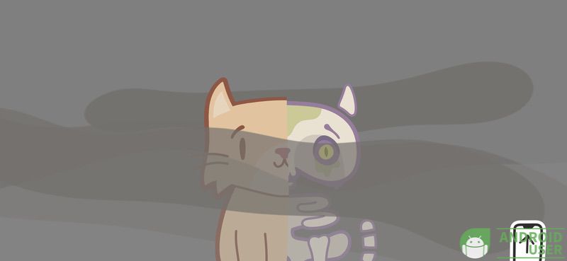 Der wabernde Nebel verzieht sich und zeigt Schrödingers Katze