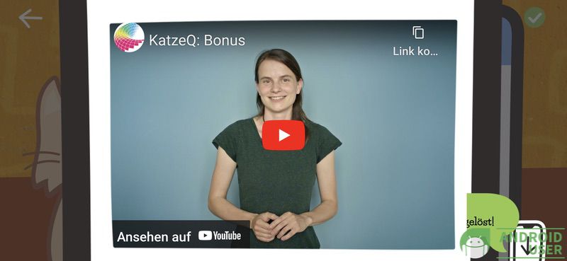Videos der Forscher in Katze Q