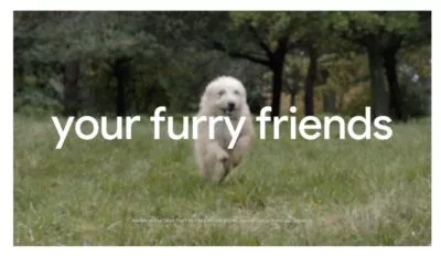 Photo Unblur für bessere Fotos deiner Hunde und Katzen
