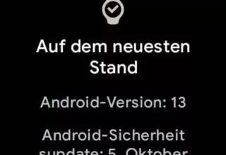 Google Pixel Watch 1 – Wann gibt´s mal wieder ein Update?