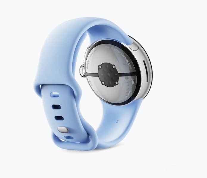 Pixel Watch 2 Sensoren