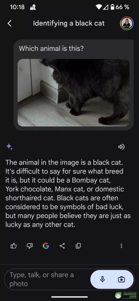 Gemini App Fotosuche