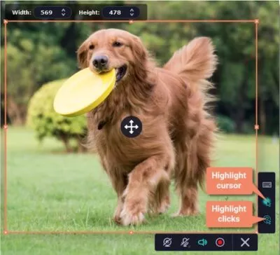 Movavi Screen Recorder Maus Klicks