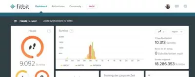 Google Fitbit Dashboard