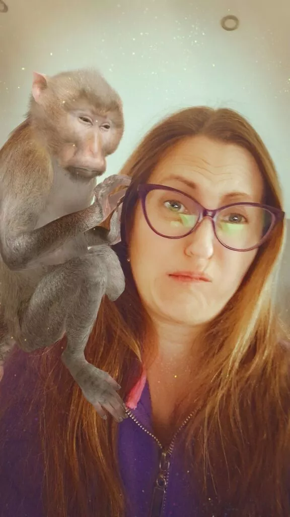 Mich laust ein Affe