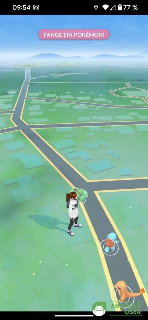 Pokémon fangen