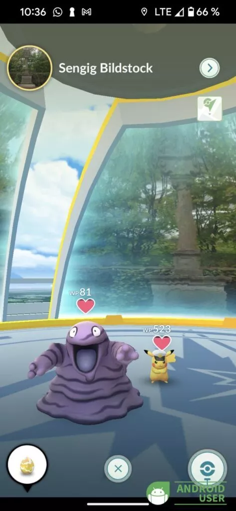 Lasse deine Pokémon in einer Arena kämpfen