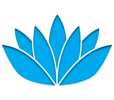 BlissOS Android Emulator