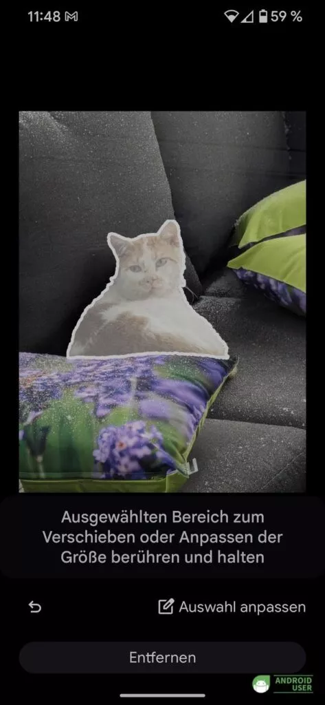Katze aus dem Hintergrund wird ausgeschnitten
