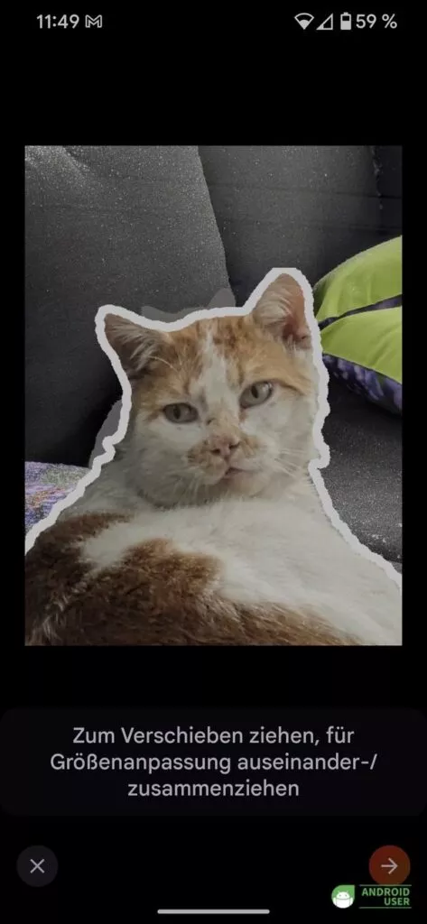 Katze wird vergrößert und in den Vordergrund gerückt