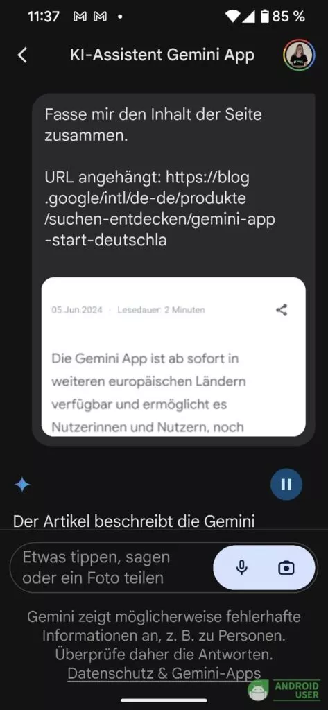 Gemini beschreibt den Artikel
