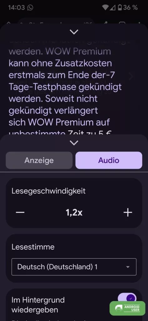 Audio und Anzeige kannst du anpassen