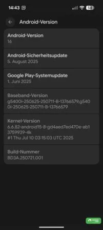 Pixel 10 Pro XL, Stand Google Play System update